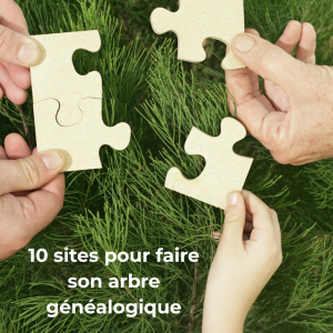 Arbre généalogique : 10 sites pour le faire quand on est à la retraite avec InterMiTemps