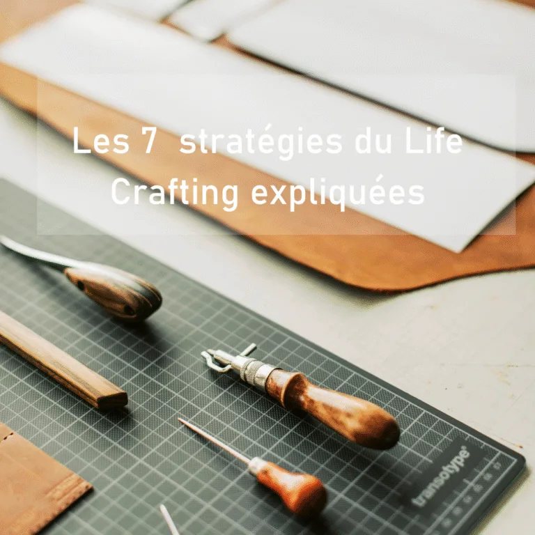 les 7 stratégies du life crafting en français
