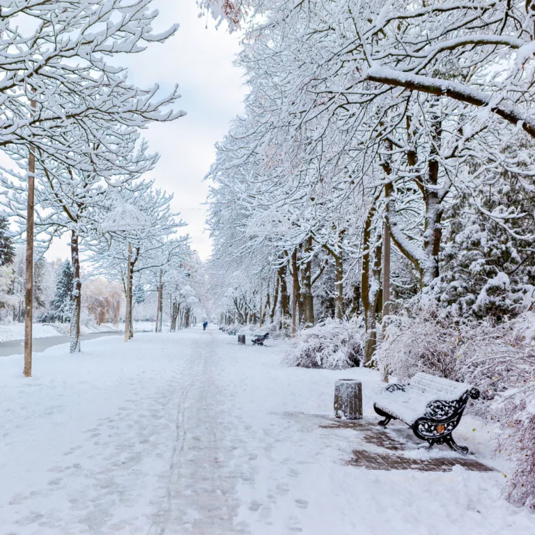 Les 8 pas du Life Crafting