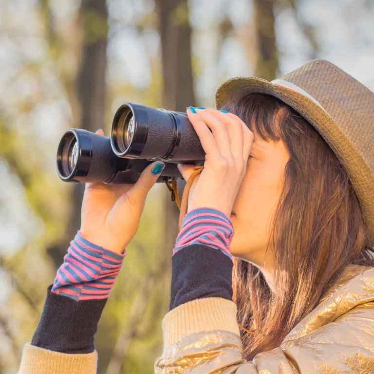 pas 1 du life crafting : voir et observer