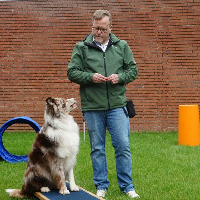 Pas 7 du life crafting : s'entraîner