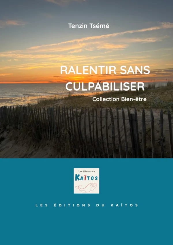 ralentir sans culpabiliser tenzin tsémé life crafting ralentir sans culpabiliser tenzin tsémé life crafting