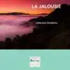 La jalousie par Tenzin Tsémé editions du Kaitos