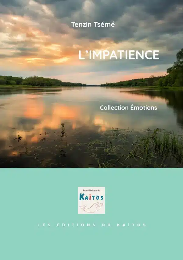 L'impatience Tenzin Tsémé Life Crafting L'impatience Tenzin Tsémé Life Crafting