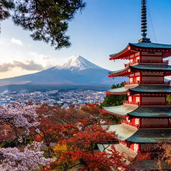 les limites de l'ikigai