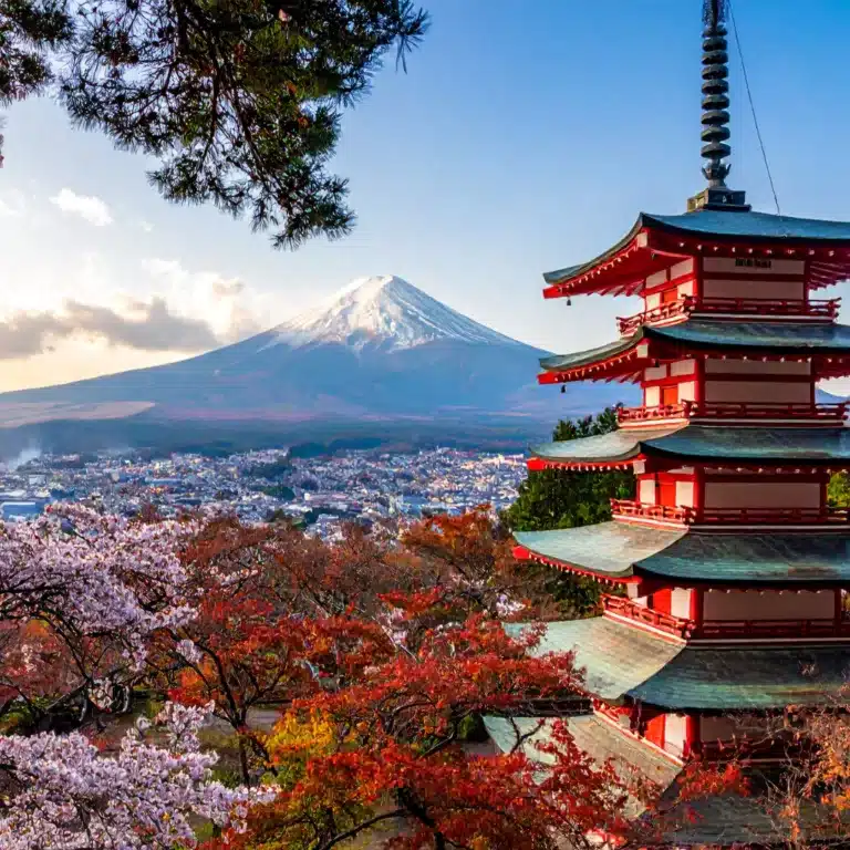 les limites de l'ikigai